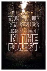 You fill up my senses lyrics. John Denver Annie S Song John Denver Quotes John Denver Lyrics John Denver