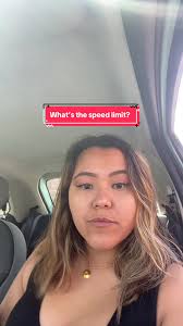 Bee in Car While Driving