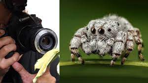 Use Any Lens For Macro Photography Macro Photography Youtube Photography Photography Mentoring