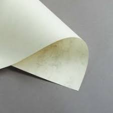 Unser team an produkttestern hat verschiedenste hersteller & marken verglichen und wir zeigen ihnen als. Elefantenhaut Online Informieren