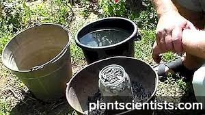 Maybe you would like to learn more about one of these? Bagaimana Dan Bagaimana Untuk Memupuk Pokok Apple Pada Musim Luruh