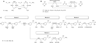 Need to fix your coffee maker? Enzymes Revolutionize The Bioproduction Of Value Added Compounds From Enzyme Discovery To Special Applications Sciencedirect