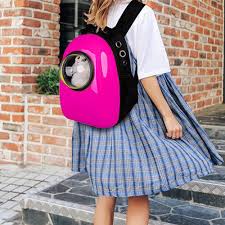 A dog game console for automatic all day play on kickstarter! U Pet Bubble Backpack Pet Carrier
