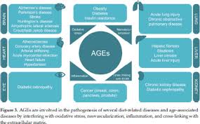 Gale Academic Onefile Document Redox Signaling And Advanced Glycation Endproducts Ages In Diet Related Diseases