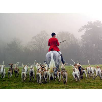 Fox Hunting - Greeting Card — Warmblood Tack Store