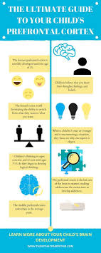 7 Facts About Your Child S Prefrontal Cortex That Are Game Changers Parenting Infographic Parenting Rules Children