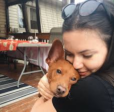 CriterionMonth The Colour Red in Ingmar Bergman's Cries and Whispers