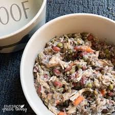 They are very healthy and have never had any problems. Easy And Cheap Dog Food Recipe Five Spot Green Living