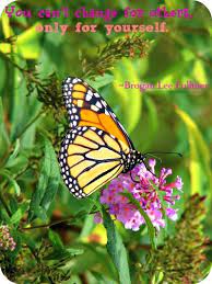 Quotes About Change Simply Stacie Butterfly Bush Grow Butterflies Budget Garden
