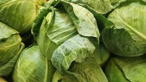 Kluwih muda sayur kluwih olahan bligo kulur sirup frambozen. Mengenal Macam Macam Sayur Kol Dan Manfaatnya Kumparan Com