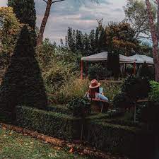 pin on travelling stories