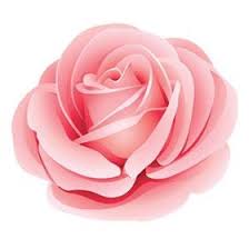 Why are flowers so expensive in canada. Why Are Flowers So Expensive U Yourflowerpatch