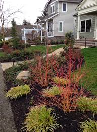 Pnw Native Inspired Seattle Garden In Winter Gretchen Bauer Design Like The Look Of The Bare R Side Yard Landscaping Front Yard Plants Trees For Front Yard