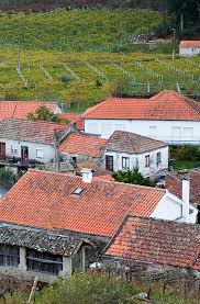 Piscinas exteriores do centro de estágios de melgaço reabrem com novas regras | altominho tv. Moncao Melgaco The Nature Of Alvarinho
