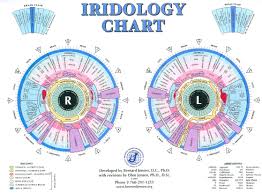 veracious iridology iris chart 2019