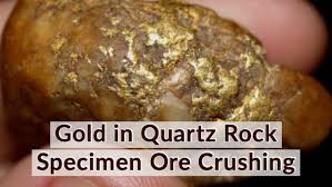 An example of gold that can be found with a metal detector. Gold In Quartz Rock Specimen Ore Crushing Raregoldnuggets Com