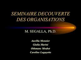 L'approfondimento di giulia marini per affarinternazionali sulle elezioni in irlanda dell' 8 febbraio. Seminaire Decouverte Des Organisations M Segalla Ph D Aurelia Monnier Giulia Marini Othmane Mrabet Caroline Lagayette Ppt Download