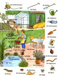 Im Garten Deutsch Lernen Deutsch Lernen Deutsch Deutsch Vokabeln