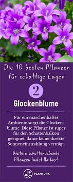 Schattenbalkon Die 10 Besten Pflanzen Fur Schattige Lagen Plantura Besten Die Fur Lagen Pflanzen Plantura Schatt In 2020 Cool Plants Outdoor Landscaping Shady
