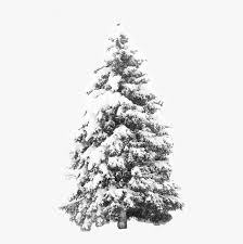 Animated 3d snow flakes, falling three transparent background with alpha channel. Transparent Snow Png Overlay Tree With Snow Transparent Background Png Download Kindpng