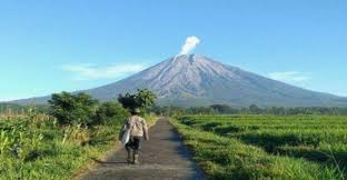 Ia menambahkan penutupan pendakian di jalur gunung semeru juga bertujuan untuk memulihkan ekosistem di kawasan tersebut secara. Gunung Semeru Hari Ini 2020