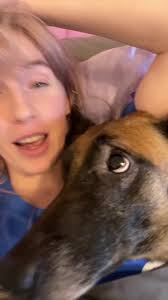 The Best Interactive Dog Toy for Belgian Malinois