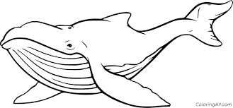 When a child colors, it improves fine motor skills, increases concentration, and sparks creativity. Easy Swimming Humpback Whale Coloring Page Coloringall