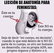 Pin De Nohely Fuentes En Frases Consejos De Vida Frases Pro Vida Consejos De Vida