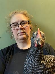 My 6 week old Rusted Rock chicks