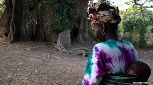 A theatre news website focused on diversity and representation, both in coverage and journalists. African Proverb Kite Perch Eagle Perch Wing Break Igbo Proverb Nigeria Kachi Phoenix Interpret Proverb Bbc News Africa Scoopnest