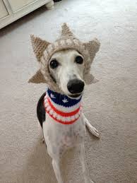 Maybe you would like to learn more about one of these? 120 Alibar Dog Knits Ideas Dogs Knitting Animals