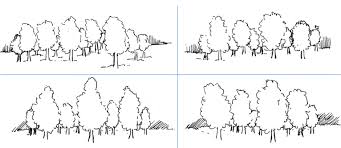 Drawing and coloring as one of the types of art allow developing the intellect and creativity of a person. Drawing Outline Of Trees And Landscapes With Trees Pen And Ink Drawings By Rahul Jain
