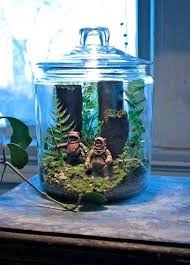 Since I Wanted To Make A Terrarium For My Desk At Work Anyway This Seems Ideal Terraces Are A Popular Star Wars Nursery Star Wars Bedroom Star Wars Room