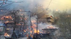 Orman şehidi babasını avukat cübbesiyle ebediyete uğurladı. Fire Guts Dozens Of Houses In Northeastern Turkish Village Daily Sabah
