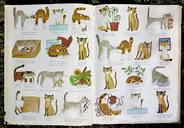 Our Animal Friends At Maple Hill Farm Animals Friends Children Illustration Animal Illustration