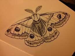Emperor Moth Moth Tattoo Moth Tattoo Design Cute Moth Tattoo
