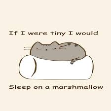 Pusheen On Marshmallow Roblox Book Jokes Cat Wallpaper Pusheen Cat