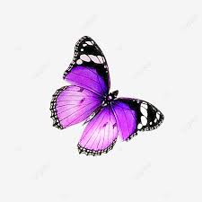 Find over 100+ of the best free butterflies images. Spring Purple Butterfly Download Butterfly Clipart Purple Butterfly Butterfly Png Transparent Clipart Image And Psd File For Free Download