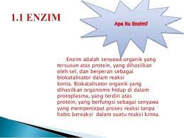 Latif yudha arditama (13040021) 4. 10 Bagian Darah Yang Cair Yang Tersusun Atas Protein Air Dan Bahan Organik Adalah Rehabilitasi Tanah Saw Ah Tercemar Natrium Dan Logam Berat Melalid Pencucian Penggunaan Vegetasi Bahan Organik Dan Bakteri