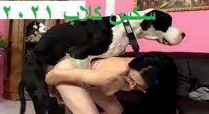 ﻟﺴﺖ ﺍﻣﺮﺃﺓ ﺳﻴﺌﺔ ﺑﻞ ﺑﺒﺴﺎﻃﺔ ﺃﻧﺎ ﻃﻤﻮﺣﺔ ﻭﻣﺠﺮﻭﺣﺔ ﺧﻠﻄﺔ ﺟﻬﻨﻤﻴﺔ. Ø³ÙƒØ³ Ø­ÙŠÙˆØ§Ù†Ø§Øª Ø­Ø§Ù…Ù„ ØªØªÙ†Ø§Ùƒ Ù…Ù† Ø§Ù„ÙƒÙ„Ø¨ ÙÙ‰ ÙƒØ³Ù‡Ø§ Ø§Ù„Ù…Ø´Ø¹Ø± Ø¨ÙˆØ¶Ø¹ÙŠØ§Øª Ø³Ø§Ø®Ù†Ø© Tm Kvartira Ru