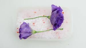 What if you don't have enough space in your home to dry out flower. 5 Ways To Dry Flowers Wikihow