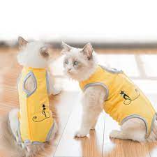 siparis kedi giysileri cerrahi kurtarma takim elbise karin yaralari cilt hastaliklari ameliyat sonrasi giyim e yaka alternatif kediler icin ust ticaretmart today