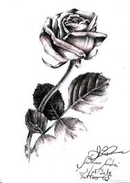 Un peisaj cu trandafiri in creion / trandafirul este una dintre cele mai cunoscute flori. Erinehatcher Un Peisaj Cu Trandafiri In Creion Desene Simple In Creion Pentru IncepaÆ'tori In Etape Ue Oare Frumoase Animale Anime Fete Flori ToamnaÆ' Dar Peste Citiva Ani Crucea Cu Tot Cu