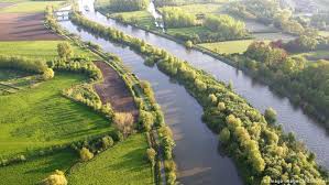 Free and safe summer travel. Belgium Blames France For Tons Of Dead Fish In Schledt River News Dw 30 04 2020