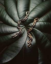 There Is Nothing Like Feeling Powerful And A Simple Detail Can Change It Get Inspired On Pull Jewelry Photography Styling Jewelry Photoshoot Jewelry Editorial