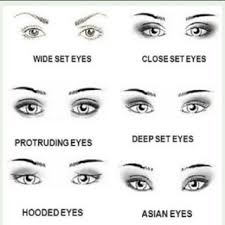 Cocci are bacteria that are: General Types Of Eye Shapes Wide Set Eyes Close Set Eyes Prominent Download Scientific Diagram