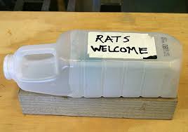 Rat Bait Station 8 Steps Instructables