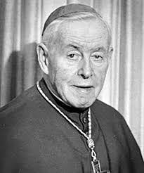 John Petruzzelli's Instagram, Twitter & Facebook