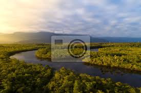 Discover a wide selection of international products on amazon global store. Amazon Regenwald In Brasilien Fototapete Fototapeten Congo Ecuador Suriname Myloview De