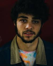 Kunwari wala pa tayong naadapt na RW&RB (ibig sabihin: kalimutan muna natin  si Taylor sandali, alam naman nating siya ang perfect na Alex, okay?).  Fancast idea: Noah Centineo bilang Alex, yea or